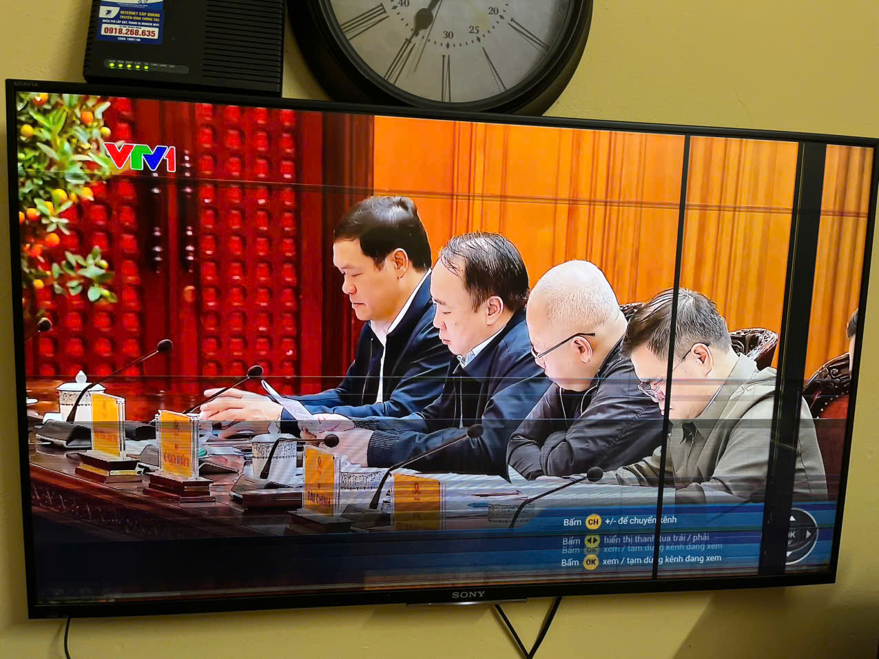 Lỗi Màn Hình Tivi Sony